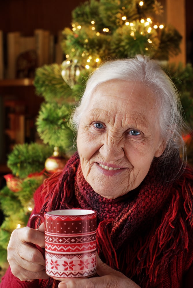 In Home Care Services for the Elderly During the Holidays
